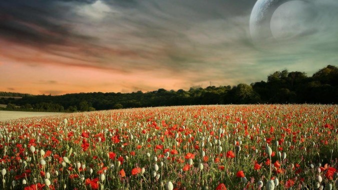 据调查使用五笔输入法人数仅剩 3%，五笔输入法是怎么没落的？